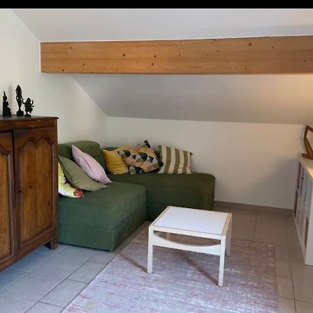 Chez Peggy & Victor - Appartement 4/5 Personnes Naves-Parmelan Kültér fotó